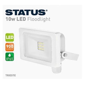 Status Trieste 10W LED Floodlight White
