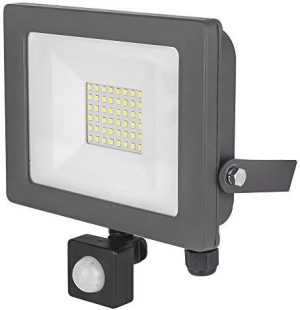 Status Imola 30W LED Floodlight with PIR Black